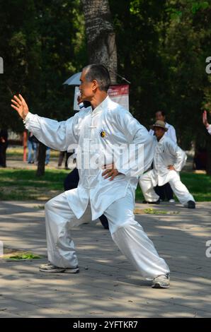 Decine di residenti di Pechino che praticano Tai chi nel grande parco di Pechino che circonda il Tempio del Paradiso. Foto Stock