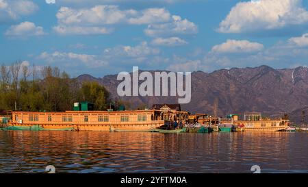 Bella casa galleggiante. Le case galleggianti del Kashmir, i palazzi galleggianti sul tranquillo lago dal, offrono una miscela unica di lusso e tradizione. Foto Stock