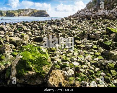 Lulworth Cove su Jurassic Coast nel Dorset. Foto Stock
