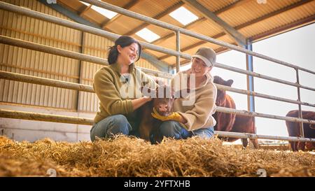 Due lavoratrici agricole che controllano il vitello in Barn Foto Stock