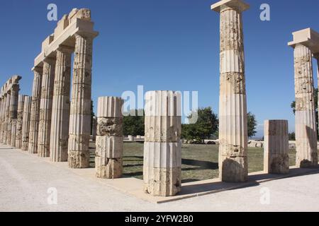 Colonne del Palazzo reale a Vergina, Macedonia, Grecia Foto Stock