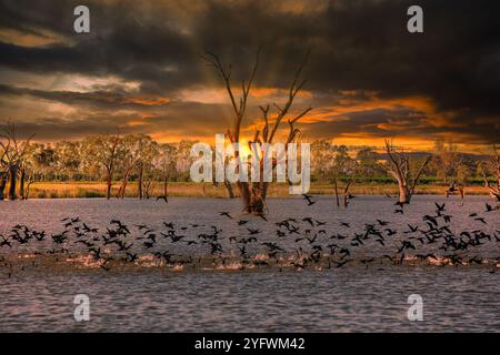 Paesaggio all'alba Lago Bonney nell'Australia meridionale con nuvole scure a causa del forte tempo e il sole arancione e i raggi del sole bassi all'orizzonte brillano Foto Stock