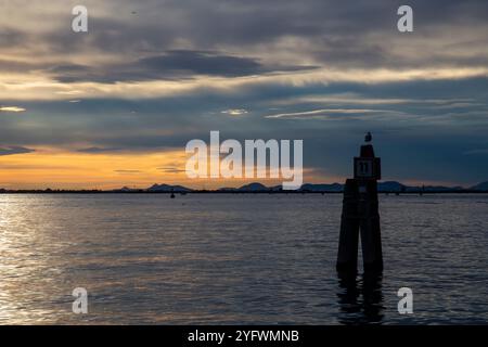 Un gabbiano su una bricola veneziana di legno (limite del canale navigabile), retroilluminato, con il tramonto arancione sulla laguna blu sullo sfondo, Chioggi Foto Stock