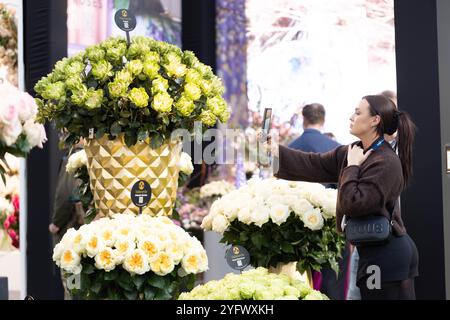 Vijfhuizen, Paesi Bassi. 5 novembre 2024. Un visitatore scatta una foto dei fiori alla fiera internazionale della floricoltura (IFTF) 2024 a Vijfhuizen, nei Paesi Bassi, il 5 novembre 2024. L'IFTF è un evento annuale nei Paesi Bassi che riunisce professionisti dell'orticoltura, amanti dei fiori ed esperti del settore provenienti da tutto il mondo. Crediti: Sylvia Lederer/Xinhua/Alamy Live News Foto Stock