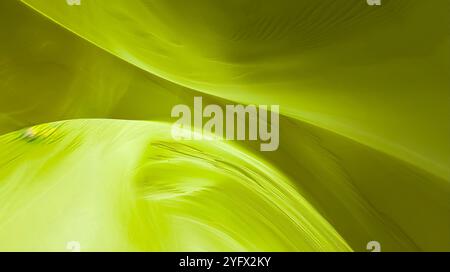 Sfondo giallo con fibre e effetti luminosi ondulati di forma astratta Foto Stock