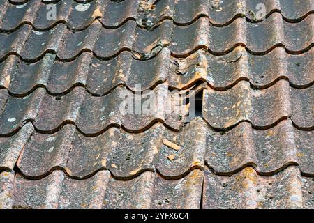 Danni pericolosi al tetto di tegole di argilla di una casa storica con alcune tegole mancanti, tegole rotte, buco nel tetto Foto Stock