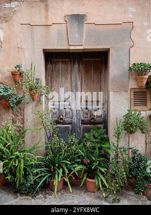 Fotografia di porte in legno invecchiato in casa, Valldemossa, Maiorca, Spagna, piante, porta della casa e porta d'ingresso Foto Stock