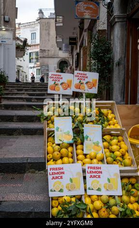 Limoni in vendita, Amalfi centro, Campania, Italia Foto Stock