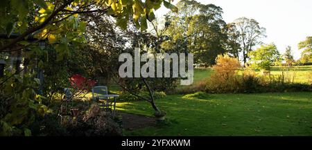 Una vista autunnale di prima mattina dalla casa estiva nel giardino Old Orchard Foto Stock