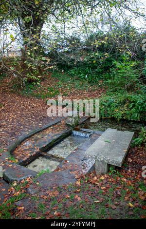 Pozzo di Sant'Agostino - pozzo Santo o sorgente Sacra, dall'Abbazia di Cerne, Cerne Abbas, Dorset, Inghilterra Foto Stock