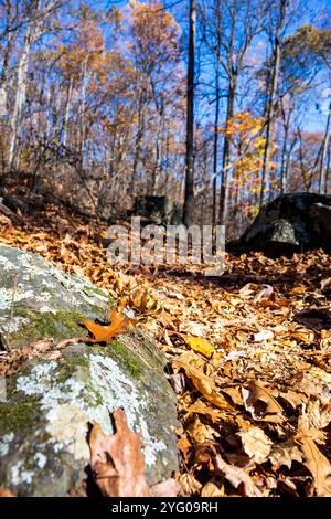 Percorso panoramico nazionale degli Appalachi in autunno Foto Stock