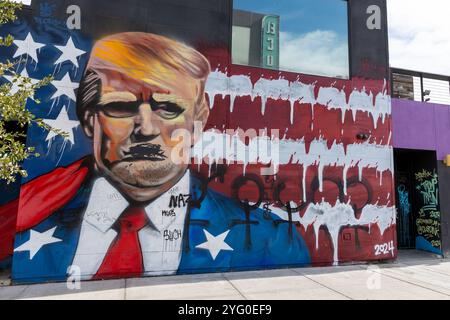 Las Vegas, Stati Uniti. 5 novembre 2024. Un murale vicino a raffigurare Donald Trump vicino a Freemont Street a Las Vegas il giorno delle elezioni del 5 novembre 2024. (Foto di Travis P Ball/Sipa USA) credito: SIPA USA/Alamy Live News Foto Stock