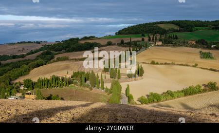 Una splendida vista della campagna toscana rivela campi dorati e torreggianti cipressi. Il paesaggio trasuda tranquillità, mettendo in mostra il naturale b Foto Stock