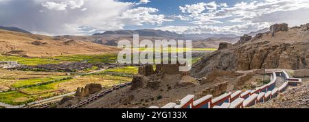 Vista su Sakya e la fioritura dei semi di colza nel Tibet centrale, cielo al tramonto con spazio copia Foto Stock