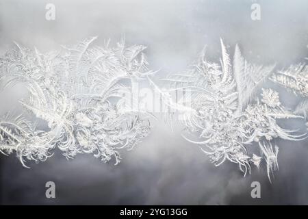 Immagine ravvicinata di intricati schemi di fiocchi di neve gelata che si formano su un riquadro finestra. I delicati cristalli di ghiaccio creano un design bello ed effimero Foto Stock