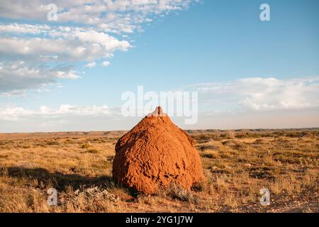 Fotografia paesaggistica di una grande collina di termiti nell'Outback australiano, caratterizzata da un paesaggio collinare sullo sfondo e da un cielo blu con nuvole. Foto Stock