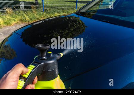 Lavaggio manuale dell'auto con prodotti chimici speciali per rimuovere lo sporco difficile dalla carrozzeria Foto Stock