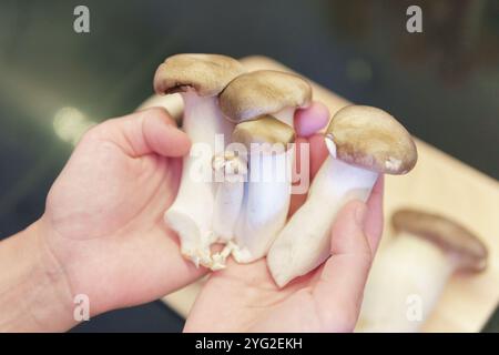 Cottura del Pleurotus eryngii. Vista dei funghi delle ostriche Foto Stock