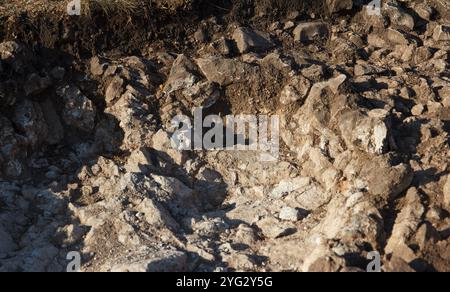 Luogo di lavoro degli archeologi. Fondo roccioso di una fossa archeologica scavata su una collina alla ricerca di manufatti storici Foto Stock