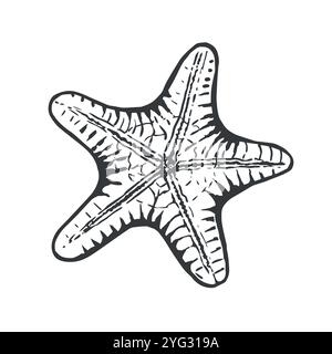 Stelle marine. Illustrazione vettoriale dello stile di schizzo Illustrazione Vettoriale