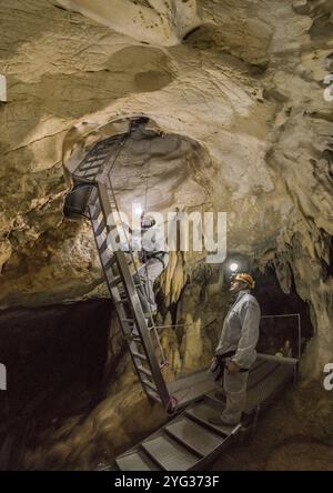 L'ACCESSO ALLA GROTTA AVVIENE ATTRAVERSO UNA "FALDA" DOTATA DI SCALA, CORDA DI RAPPEL E GANCIO A SCATTO. SULLA SCALA, JEAN CLOTTES, CAPO DELLO STUDIO SCIENTIFICO DELLA Foto Stock