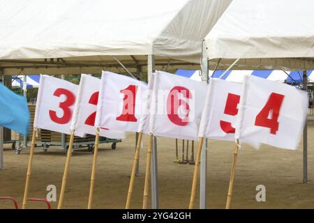 Bandiere per l'ordine dei premi in occasione della giornata sportiva Foto Stock