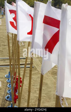 Bandiere per l'ordine dei premi in occasione della giornata sportiva Foto Stock