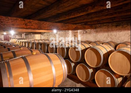 Cantina con botti di rovere francese per l'invecchiamento del vino rosso ottenuto da vitigno Cabernet Sauvignon, vigne Haut-Medoc a Bordeaux, sponda sinistra di G. Foto Stock