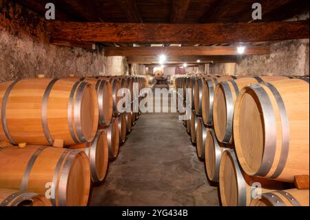 Cantina con botti di rovere francese per l'invecchiamento del vino rosso ottenuto da vitigno Cabernet Sauvignon, vigne Haut-Medoc a Bordeaux, sponda sinistra di G. Foto Stock