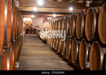 Cantina con botti di rovere francese per l'invecchiamento del vino rosso ottenuto da vitigno Cabernet Sauvignon, vigne Haut-Medoc a Bordeaux, sponda sinistra di G. Foto Stock