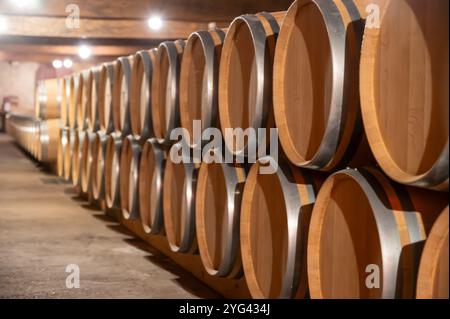 Cantina con botti di rovere francese per l'invecchiamento del vino rosso ottenuto da vitigno Cabernet Sauvignon, vigne Haut-Medoc a Bordeaux, sponda sinistra di G. Foto Stock