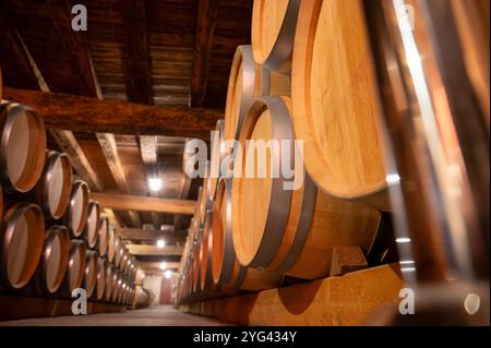 Cantina con botti di rovere francese per l'invecchiamento del vino rosso ottenuto da vitigno Cabernet Sauvignon, vigne Haut-Medoc a Bordeaux, sponda sinistra di G. Foto Stock