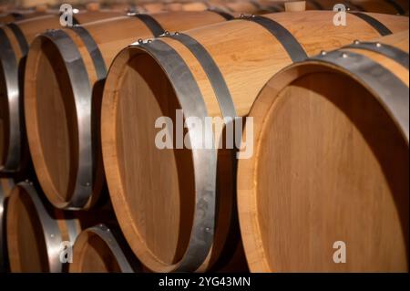 Cantina con botti di rovere francese per l'invecchiamento del vino rosso ottenuto da vitigno Cabernet Sauvignon, vigne Haut-Medoc a Bordeaux, sponda sinistra di G. Foto Stock