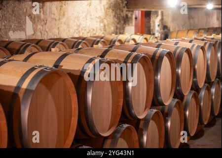 Cantina con botti di rovere francese per l'invecchiamento del vino rosso ottenuto da vitigno Cabernet Sauvignon, vigne Haut-Medoc a Bordeaux, sponda sinistra di G. Foto Stock