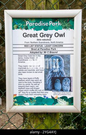 Cornovaglia, Regno Unito – 19 giugno 2024: Cartello informativo Great Grey Owl a Paradise Park, Hayle Foto Stock