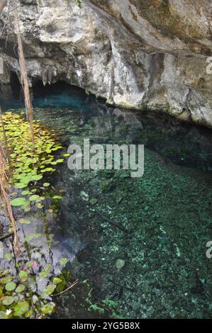 Cenote con acque turchesi e vegetazione lussureggiante a Coba, Quintana Roo, Messico Foto Stock