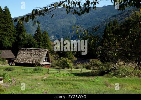 Gokayama è un villaggio di case di Gassho in Giappone. Si tratta di una tipica casa con tetto in paglia ripida. Questo è un villaggio vivo. Foto Stock