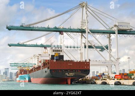 Miami, Florida, Stati Uniti - 1 dicembre 2023: Gru container nel porto di Miami con la nave container GSL Tripoli al molo Foto Stock