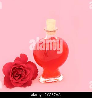 Fiore di rosa con bottiglia di profumo a forma di cuore per San Valentino, anniversario o regalo di compleanno su sfondo rosa. Concetto d'amore romantico. Foto Stock