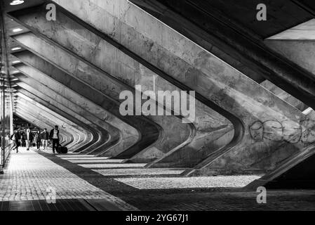 Lisboa, Portogallo - 3 giugno 2024 - dettaglio architettonico della stazione ferroviaria moderna Lisboa Est di notte, Portogallo, progettato dall'architetto Santiag Foto Stock