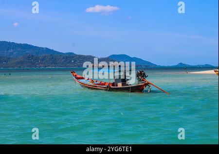 Koh Madsum (o Koh Mat Sum o Pig Island). L'isola, vicino a Koh Samui, è un'attrazione turistica principalmente a causa della presenza di maiali liberi di muoversi sul Foto Stock