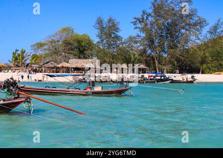 Koh Madsum (o Koh Mat Sum o Pig Island). L'isola, vicino a Koh Samui, è un'attrazione turistica principalmente a causa della presenza di maiali liberi di muoversi sul Foto Stock