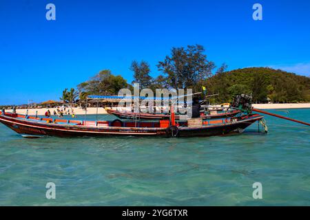 Koh Madsum (o Koh Mat Sum o Pig Island). L'isola, vicino a Koh Samui, è un'attrazione turistica principalmente a causa della presenza di maiali liberi di muoversi sul Foto Stock