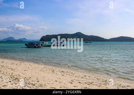 Koh Madsum (o Koh Mat Sum o Pig Island). L'isola, vicino a Koh Samui, è un'attrazione turistica principalmente a causa della presenza di maiali liberi di muoversi sul Foto Stock