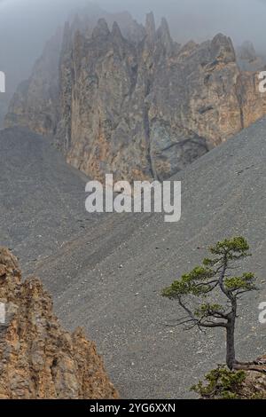 Casse deserte è un famoso paesaggio desolato del passo montano dell'Izoard nelle alpi francesi Foto Stock