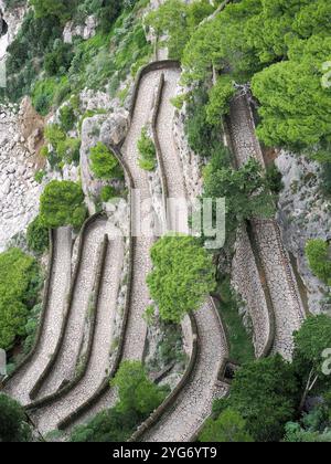 Via Friedrich Alfred Krupp, via Krupp, tornante, Capri (città), Isola di Capri, Capri, Campania, Italia, Europa Foto Stock