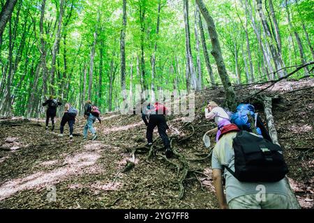 I turisti scalano la montagna lungo una strada forestale Foto Stock