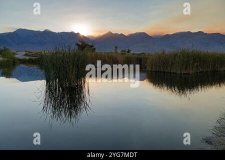 Il tramonto sulle montagne orientali della Sierra Nevada vicino a Independence California si riflette in uno stagno di Owens Valley con del fumo di fiori selvatici sopra il pisello Foto Stock