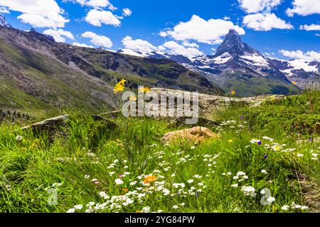 Famosi sentieri escursionistici in Svizzera, incredibili Alpi, cantone Vallese, vista panoramica della montagna iconica del Cervino Foto Stock