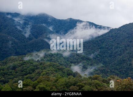 Il monte Kinabalu Gayo Ngaran o Nulu Nabalu o Gunung Kinabalu è la montagna più alta del Borneo e della Malesia, 4095 m, protetta come Kinabalu Park, a World Foto Stock